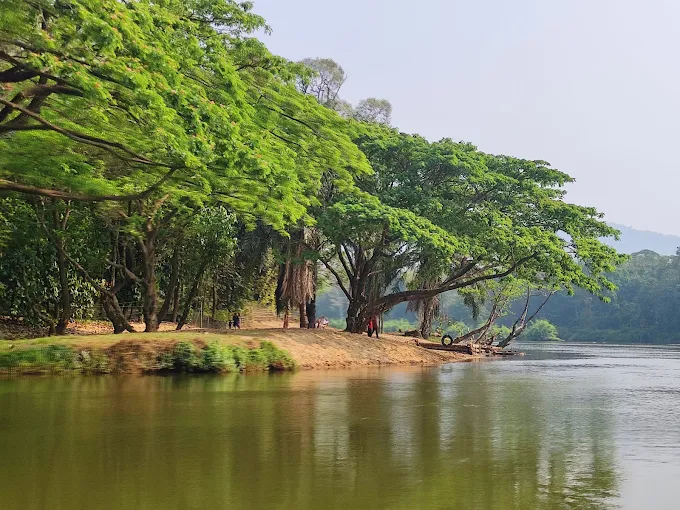 Lush forest canopy and river trails